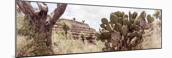 ¡Viva Mexico! Panoramic Collection - Pyramid of Cantona Archaeological Site IV-Philippe Hugonnard-Mounted Photographic Print