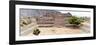 ¡Viva Mexico! Panoramic Collection - Pyramid of Cantona Archaeological Site IX-Philippe Hugonnard-Framed Photographic Print