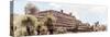 ¡Viva Mexico! Panoramic Collection - Pyramid of Cantona Archaeological Site VII-Philippe Hugonnard-Stretched Canvas