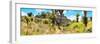 ¡Viva Mexico! Panoramic Collection - Pyramid of Cantona Archaeological Site-Philippe Hugonnard-Framed Photographic Print