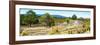 ¡Viva Mexico! Panoramic Collection - Pyramid of Cantona - Puebla I-Philippe Hugonnard-Framed Photographic Print