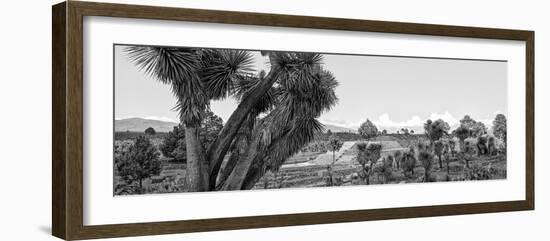 ¡Viva Mexico! Panoramic Collection - Pyramid of Cantona - Puebla IX-Philippe Hugonnard-Framed Photographic Print