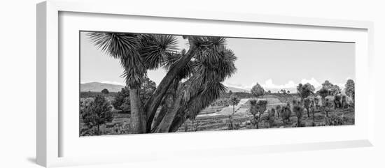 ¡Viva Mexico! Panoramic Collection - Pyramid of Cantona - Puebla IX-Philippe Hugonnard-Framed Photographic Print