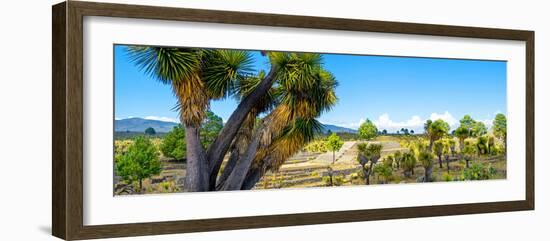 ¡Viva Mexico! Panoramic Collection - Pyramid of Cantona - Puebla VIII-Philippe Hugonnard-Framed Photographic Print