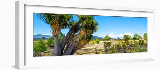 ¡Viva Mexico! Panoramic Collection - Pyramid of Cantona - Puebla VIII-Philippe Hugonnard-Framed Photographic Print