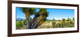 ¡Viva Mexico! Panoramic Collection - Pyramid of Cantona - Puebla VIII-Philippe Hugonnard-Framed Photographic Print