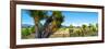 ¡Viva Mexico! Panoramic Collection - Pyramid of Cantona - Puebla VIII-Philippe Hugonnard-Framed Photographic Print