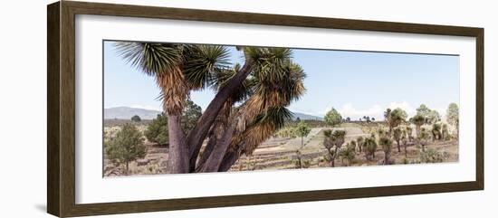 ¡Viva Mexico! Panoramic Collection - Pyramid of Cantona - Puebla X-Philippe Hugonnard-Framed Photographic Print