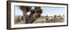 ¡Viva Mexico! Panoramic Collection - Pyramid of Cantona - Puebla X-Philippe Hugonnard-Framed Photographic Print