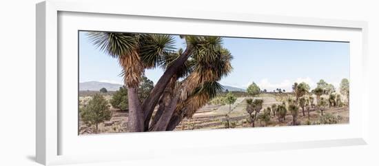 ¡Viva Mexico! Panoramic Collection - Pyramid of Cantona - Puebla X-Philippe Hugonnard-Framed Photographic Print