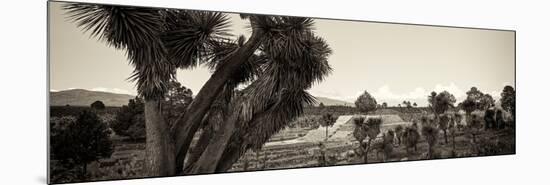 ¡Viva Mexico! Panoramic Collection - Pyramid of Cantona - Puebla XI-Philippe Hugonnard-Mounted Photographic Print