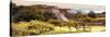 ¡Viva Mexico! Panoramic Collection - Pyramid of Monte Alban with Fall Colors II-Philippe Hugonnard-Stretched Canvas