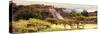 ¡Viva Mexico! Panoramic Collection - Pyramid of Monte Alban with Fall Colors II-Philippe Hugonnard-Stretched Canvas