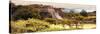 ¡Viva Mexico! Panoramic Collection - Pyramid of Monte Alban with Fall Colors II-Philippe Hugonnard-Stretched Canvas