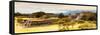 ¡Viva Mexico! Panoramic Collection - Pyramid of Monte Alban with Fall Colors III-Philippe Hugonnard-Framed Stretched Canvas