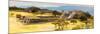¡Viva Mexico! Panoramic Collection - Pyramid of Monte Alban with Fall Colors V-Philippe Hugonnard-Mounted Photographic Print