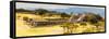 ¡Viva Mexico! Panoramic Collection - Pyramid of Monte Alban with Fall Colors V-Philippe Hugonnard-Framed Stretched Canvas