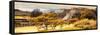 ¡Viva Mexico! Panoramic Collection - Pyramid of Monte Alban with Fall Colors-Philippe Hugonnard-Framed Stretched Canvas