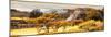 ¡Viva Mexico! Panoramic Collection - Pyramid of Monte Alban with Fall Colors-Philippe Hugonnard-Mounted Photographic Print