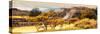 ¡Viva Mexico! Panoramic Collection - Pyramid of Monte Alban with Fall Colors-Philippe Hugonnard-Stretched Canvas