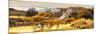 ¡Viva Mexico! Panoramic Collection - Pyramid of Monte Alban with Fall Colors-Philippe Hugonnard-Mounted Photographic Print