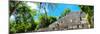 ¡Viva Mexico! Panoramic Collection - Pyramyd of the ancient Mayan City II - Calakmul-Philippe Hugonnard-Mounted Photographic Print