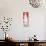 ¡Viva Mexico! Panoramic Collection - Red Coke-Philippe Hugonnard-Stretched Canvas displayed on a wall