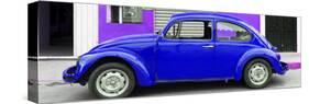 ¡Viva Mexico! Panoramic Collection - Royal Blue VW Beetle Car-Philippe Hugonnard-Stretched Canvas