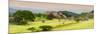 ¡Viva Mexico! Panoramic Collection - Ruins of Monte Alban at Sunset III-Philippe Hugonnard-Mounted Photographic Print