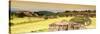 ¡Viva Mexico! Panoramic Collection - Ruins of Monte Alban at Sunset-Philippe Hugonnard-Stretched Canvas