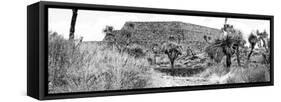 ¡Viva Mexico! Panoramic Collection - Ruins of the city of Cantona-Philippe Hugonnard-Framed Stretched Canvas