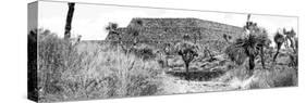 ¡Viva Mexico! Panoramic Collection - Ruins of the city of Cantona-Philippe Hugonnard-Stretched Canvas