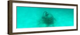 ¡Viva Mexico! Panoramic Collection - Sculptures at bottom of sea in Cancun II-Philippe Hugonnard-Framed Photographic Print