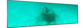 ¡Viva Mexico! Panoramic Collection - Sculptures at bottom of sea in Cancun II-Philippe Hugonnard-Mounted Photographic Print