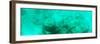 ¡Viva Mexico! Panoramic Collection - Sculptures at bottom of sea in Cancun III-Philippe Hugonnard-Framed Photographic Print