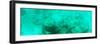 ¡Viva Mexico! Panoramic Collection - Sculptures at bottom of sea in Cancun III-Philippe Hugonnard-Framed Photographic Print