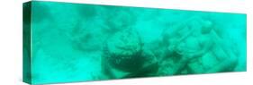 ¡Viva Mexico! Panoramic Collection - Sculptures at bottom of sea in Cancun III-Philippe Hugonnard-Stretched Canvas