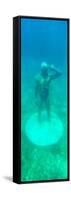 ¡Viva Mexico! Panoramic Collection - Sculptures at bottom of sea in Cancun-Philippe Hugonnard-Framed Stretched Canvas