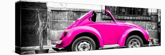 ¡Viva Mexico! Panoramic Collection - Small Deep Pink VW Beetle Car-Philippe Hugonnard-Stretched Canvas