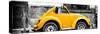 ¡Viva Mexico! Panoramic Collection - Small Gold VW Beetle Car-Philippe Hugonnard-Stretched Canvas