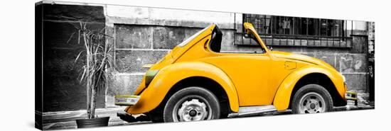 ¡Viva Mexico! Panoramic Collection - Small Gold VW Beetle Car-Philippe Hugonnard-Stretched Canvas