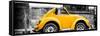 ¡Viva Mexico! Panoramic Collection - Small Gold VW Beetle Car-Philippe Hugonnard-Framed Stretched Canvas