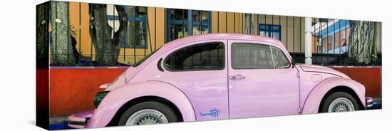 ¡Viva Mexico! Panoramic Collection - "Summer" VW Beetle Car V-Philippe Hugonnard-Stretched Canvas