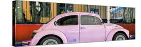 ¡Viva Mexico! Panoramic Collection - "Summer" VW Beetle Car V-Philippe Hugonnard-Stretched Canvas