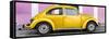 ¡Viva Mexico! Panoramic Collection - The Gold VW Beetle Car with Light Pink Street Wall-Philippe Hugonnard-Framed Stretched Canvas