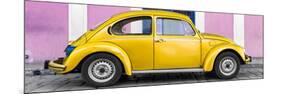 ¡Viva Mexico! Panoramic Collection - The Gold VW Beetle Car with Light Pink Street Wall-Philippe Hugonnard-Mounted Photographic Print