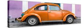 ¡Viva Mexico! Panoramic Collection - The Orange VW Beetle Car with Thistle Street Wall-Philippe Hugonnard-Stretched Canvas