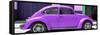 ¡Viva Mexico! Panoramic Collection - The Purple Beetle Car-Philippe Hugonnard-Framed Stretched Canvas