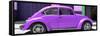 ¡Viva Mexico! Panoramic Collection - The Purple Beetle Car-Philippe Hugonnard-Framed Stretched Canvas