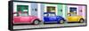 ¡Viva Mexico! Panoramic Collection - Three VW Beetle Cars with Colors Street Wall III-Philippe Hugonnard-Framed Stretched Canvas